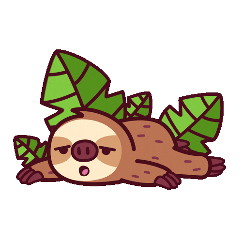 Sloooths web GIF 11